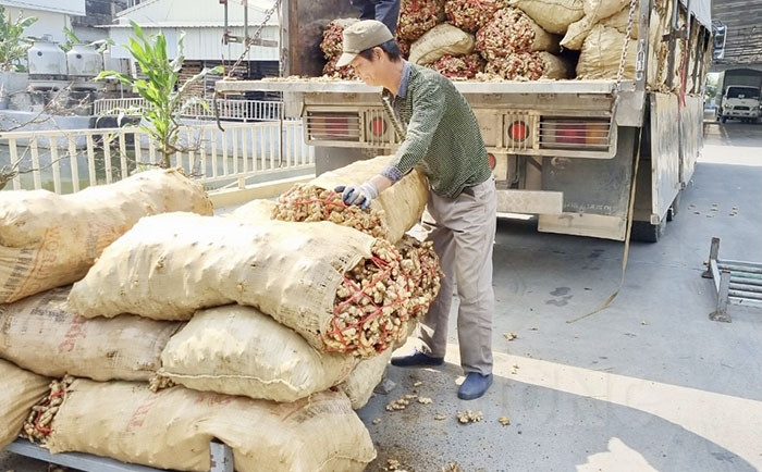 Công ty CP Chế biến nông sản Tân Hương xuất khẩu nông sản giảm gần 50%